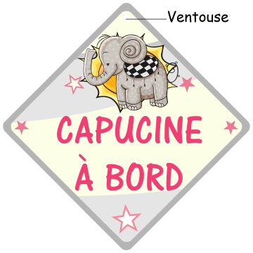 Autocollant personnalisé avec le nom du bébé à bord de la voiture,  ventouse, pour le style de la voiture, panneau d'avertissement, en PVC