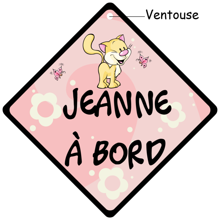 signalitique bébé à bord chat