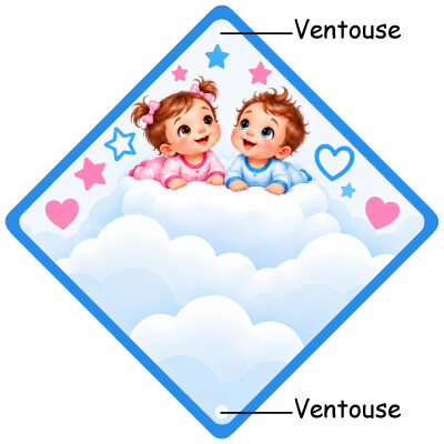 Pancarte jumeaux à bord, une fille et un garçon